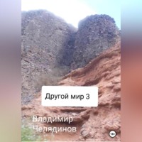 Владимир Иванович Челядинов. Другой мир 3