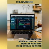 Сергей Каледин. Управление эффективностью использования оборотных средств