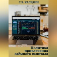 Сергей Каледин. Политика привлечения заёмного капитала