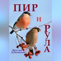 Ярослав Николаевич Зубковский. Пир и Рула