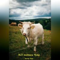 . №21 подпись чупа