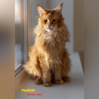 . Рыжик