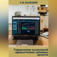 Сергей Каледин. Управление политикой привлечения заёмных средств
