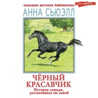 . Черный красавчик