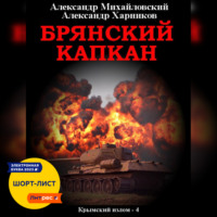 Александр Михайловский. Брянский капкан