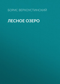 . Лесное озеро