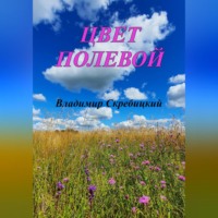 . Цвет полевой