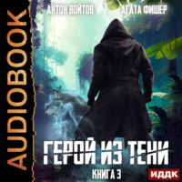 . Герой из тени. Книга 3