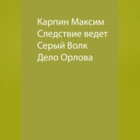 . Следствие ведет Серый Волк. Дело Орлова