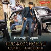 . Профессионал. Один в поле воин
