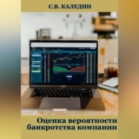 Сергей Каледин. Оценка вероятности банкротства компании