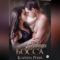 . (Не)Доводи босса