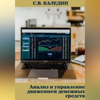 Сергей Каледин. Анализ и управление движением денежных средств