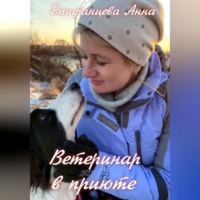 . Ветеринар в приюте