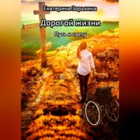 . Дорогой жизни: Путь к свету