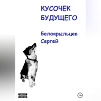 . Кусочек будущего