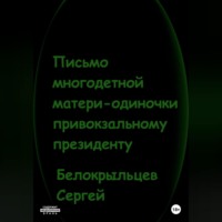 Сергей Валерьевич Белокрыльцев. Письмо многодетной матери-одиночки привокзальному президенту