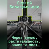 Сергей Валерьевич Белокрыльцев. Через землю, растительность, залив и мост