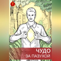 Иван Александрович Мордвинкин. Чудо за пазухой