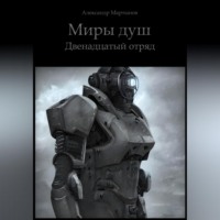 Александр Мартынов. Миры душ. Двенадцатый отряд