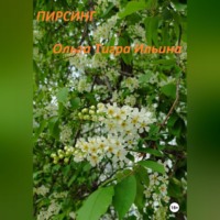 . Пирсинг
