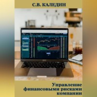 Сергей Каледин. Управление финансовыми рисками компании
