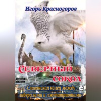 . Cеверный сокол. Славянская колея между либералами и лжепатриотами