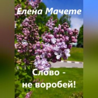 . Слово – не воробей!