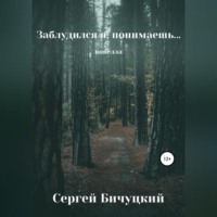 Сергей Марксович Бичуцкий. Заблудился я, понимаешь…