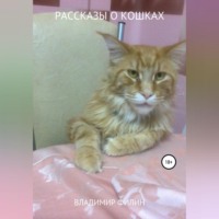 . Рассказы о кошках
