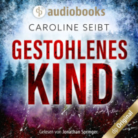 . Gestohlenes Kind - Ein Theo Weiland-Thriller, Band 1 (Ungek?rzt)
