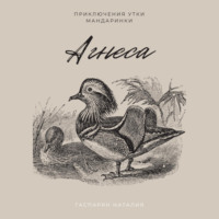 . Агнеса