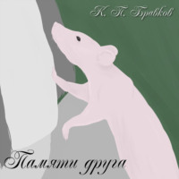 . Памяти друга