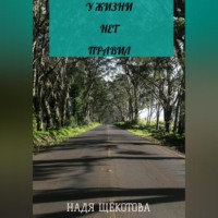 . У жизни нет правил
