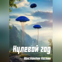 Константин Александрович Костин. Нулевой год