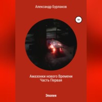 Александр Бурлаков. Амазонки нашего Времени