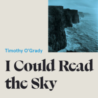 . I Could Read the Sky (Unabridged)