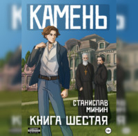 . Камень. Книга шестая