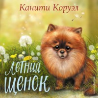 . Летний щенок