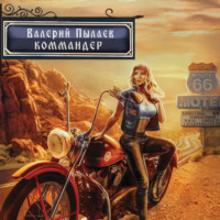 . Горчаков. Коммандер