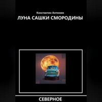 . Луна Сашки Смородины