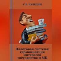 Сергей Каледин. Налоговая система: гармонизация интересов государства и МБ