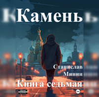 Станислав Николаевич Минин. Камень. Книга седьмая