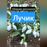 Ольга Владимировна Пестрякова. Лучик
