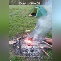 Юрий Шорохов. У ночного костра – 2