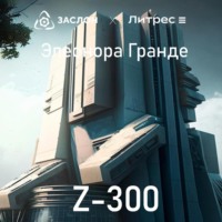 . Z-300