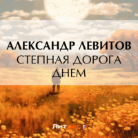 . Степная дорога днем