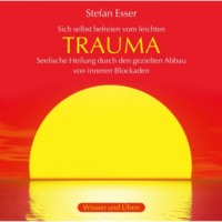 . Trauma - Sich selbst befreien vom leichten Trauma - seelische Heilung durch den gezielten Abbau von inneren Blockaden (ungek?rzt)