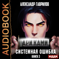 . Ари Ками. Книга 3. Системная ошибка