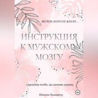 . Инструкция к мужскому мозгу